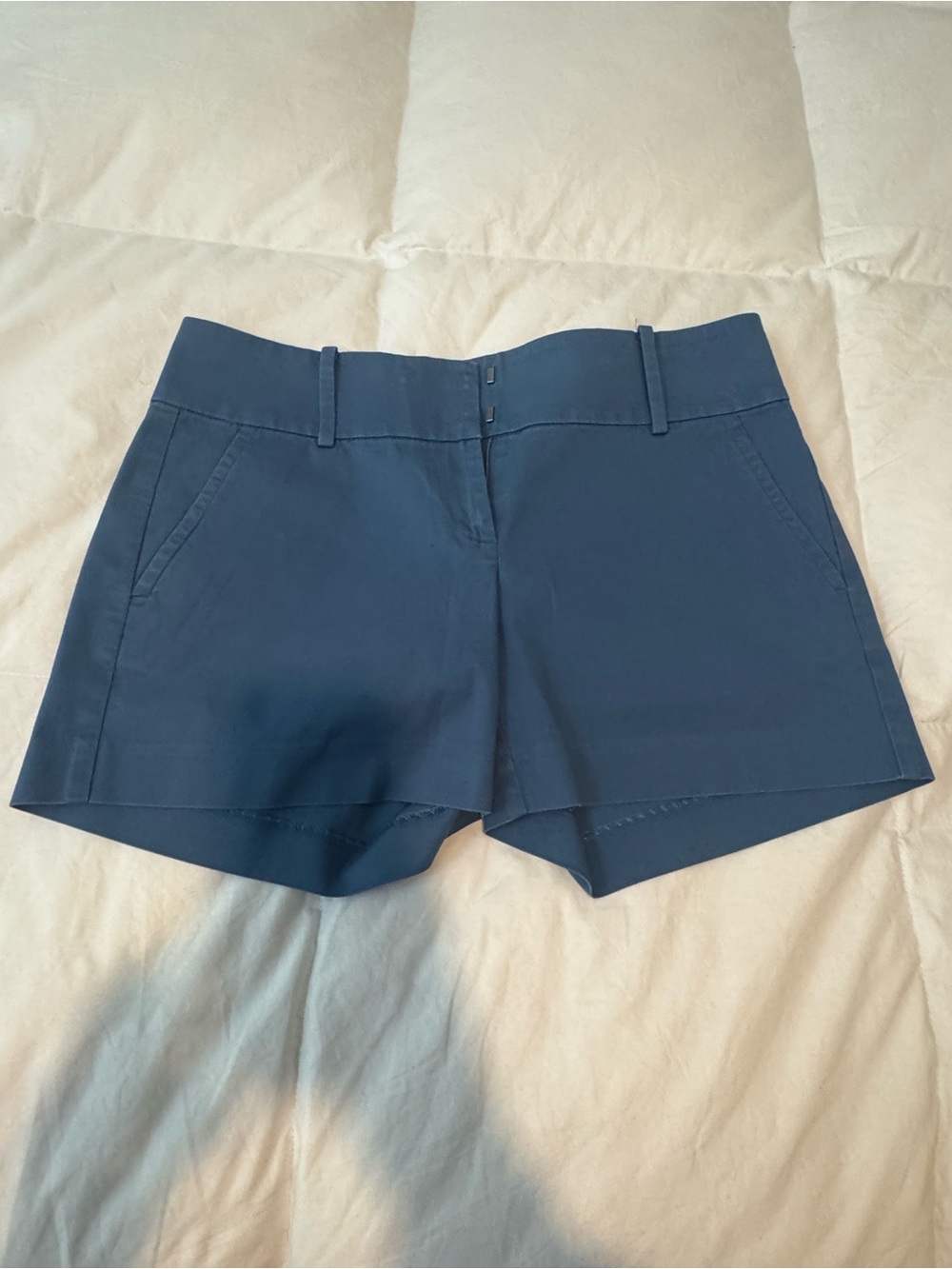 Ann Taylor Powder Blue Women's Shorts